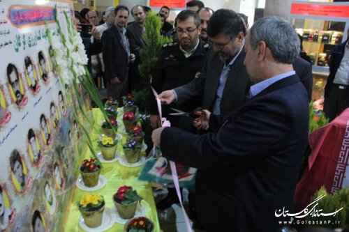افتتاح نمایشگاه توانمندی های مدیریت جهاد کشاورزی شهرستان گرگان