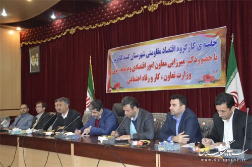گنبدکاووس ظرفیت های زیادی برای ورود سرمایه گذاران دارد