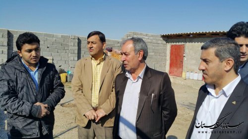 مرکز تولید و پرورش شترمرغ در شهرستان گرگان افتتاح شد