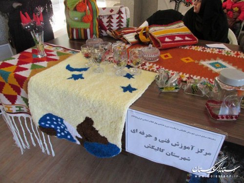 بازدید مدیرکل امور بانوان و خانواده از غرفه صنایع دستی مرکزآموزش فنی و حرفه ای گالیکش