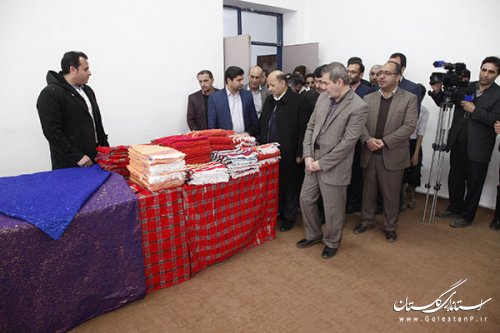 افتتاح بزرگترین مرکز تخصصی صنایع دستی استان در شهرستان علی آباد