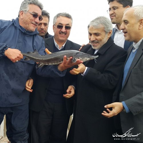 بازدید رئیس سازمان برنامه و بودجه از جزیره آشوراده