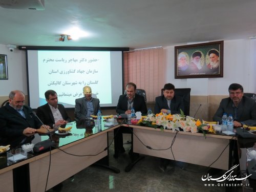 خاک کشاورزی شهرستان گالیکش مقام اول گلستان را دارد