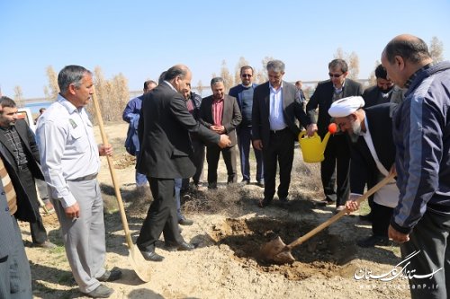 کاشت نهال دراداره کل راه آهن شمال شرق 2 و ایستگاه مرزی اینچه برون