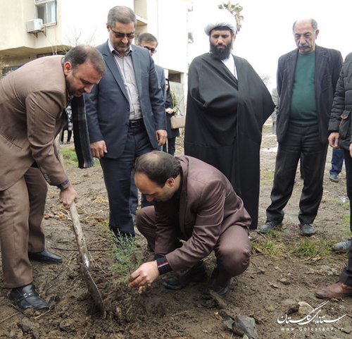 روز درختکاری با کاشت نهال در شهرستان مینودشت گرامی داشته شد