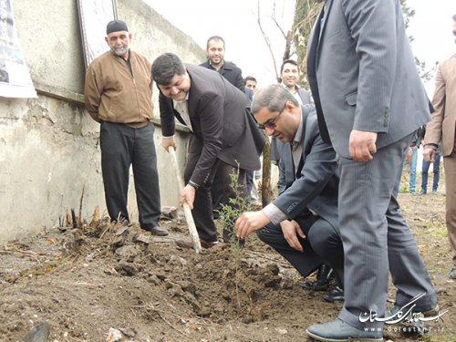 روز درختکاری با کاشت نهال در شهرستان مینودشت گرامی داشته شد