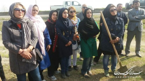 آیین رسمی اجرایی شدن طرح استانی بزرگراه سبز با حضور فرماندارکردکوی