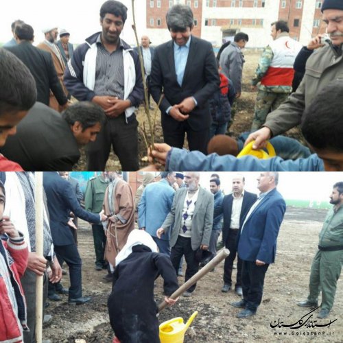 چندین اصله نهال در دانشگاه آزاد اسلامی کلاله غرس شد