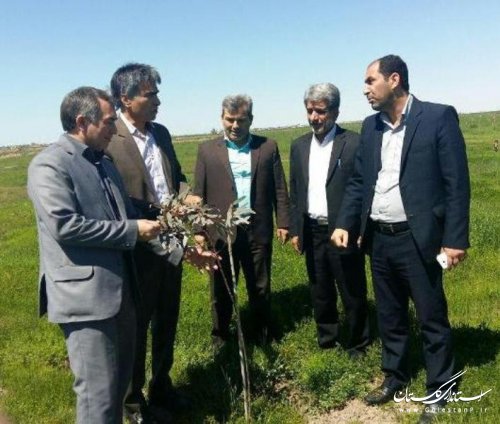 بازدید مشترک فرماندار آق قلا و مدیر کل منابع طبیعی از بوستان 4000شهید