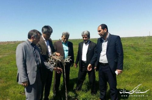 بازدید مشترک فرماندار آق قلا و مدیر کل منابع طبیعی از بوستان 4000شهید