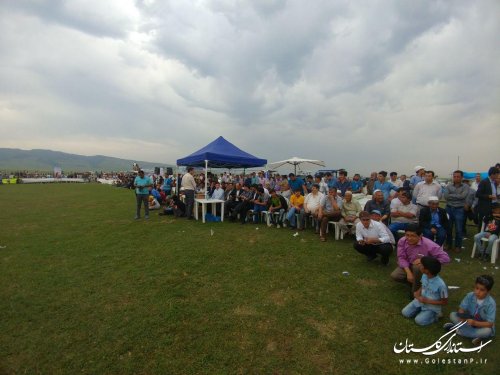 دوازدهمین جشنواره ملی زیبایی اسب اصیل ترکمن در کلاله برگزار شد