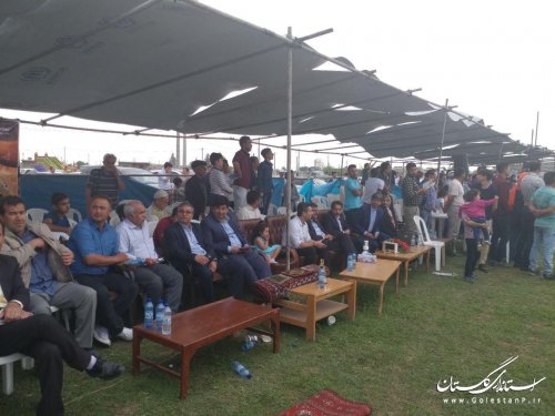 دوازدهمین جشنواره ملی زیبایی اسب اصیل ترکمن در کلاله برگزار شد