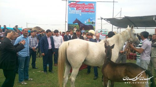 دوازدهمین جشنواره ملی زیبایی اسب اصیل ترکمن در کلاله برگزار شد