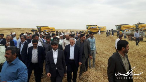  تلاش می کنیم در تولید گندم رتبه نخست کشور را کسب کنیم