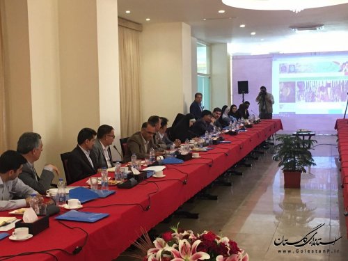 آغاز به کار بیست و نهمین نشست مدیران کل امور روستایی سراسر کشور در گلستان