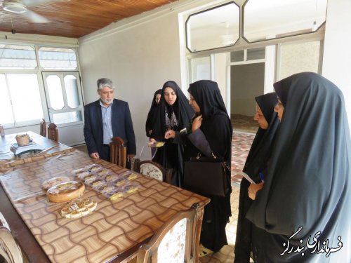بازدید مدیرکل امور بانوان  و خانواده استانداری از دو واحد تولیدی در بندرگز