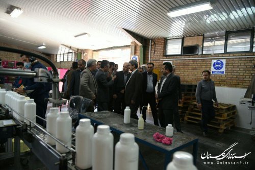 بازدید استاندار گلستان از شهرک صنعتی بندرگز