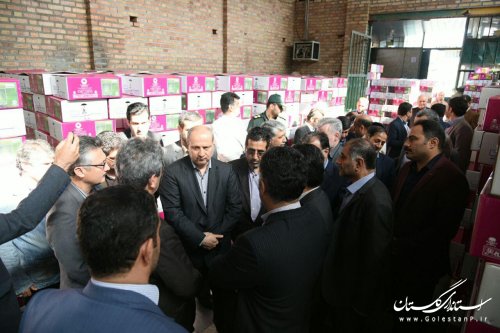 بازدید استاندار گلستان از شهرک صنعتی بندرگز