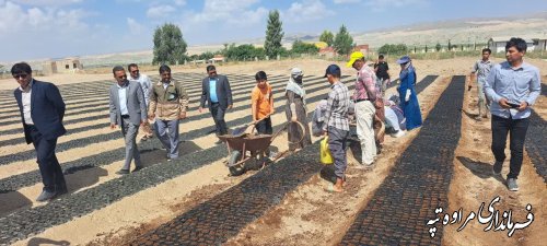 آغاز پروژه تولید نهال مرتعی در نهالستان امام علی(ع) شهرستان مراوه‌تپه 