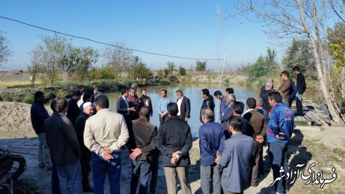 بازدید بخشدار، دهیاران و روسای شوراهای بخش مرکزی آزادشهر از محل پرورش ماهی روستایی 