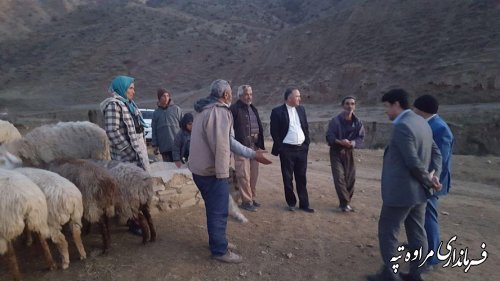 فرماندار مراوه تپه از عشایر مردم دره بازدید کرد 