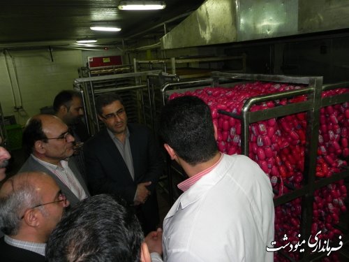 بازدید فرماندار از کارخانه های تولیدی در شهرک صنعتی مینودشت