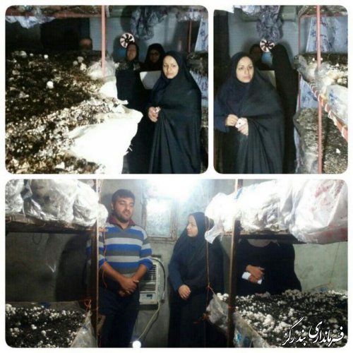 بازدید بخشدار مرکزی بندرگز از فعالیتهای متقاضیان تسهیلات اشتغالزایی در روستاها