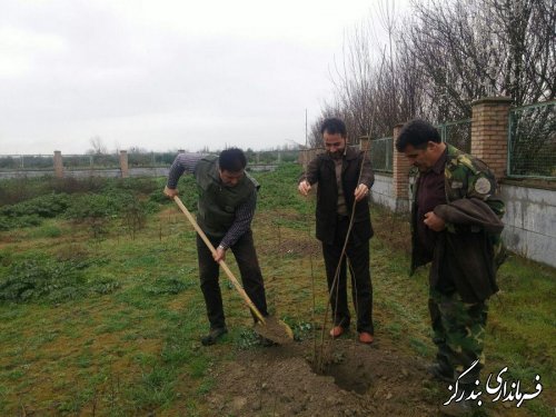آیین روز درختکاری در بندرگز برگزار شد