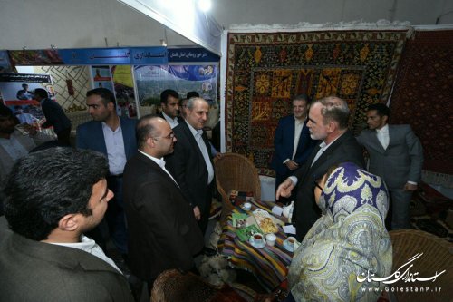 حضور استاندار گلستان در نمایشگاه توانمندی های روستاییان و عشایر کشور