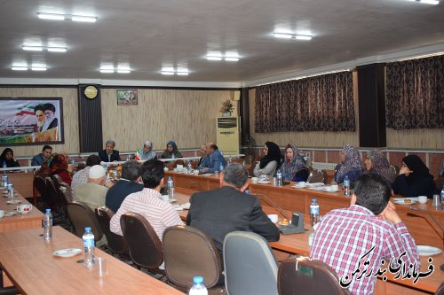 صنعت فرش به عنوان بستر بزرگ تولید در شهرستان ترکمن باید احیا شود