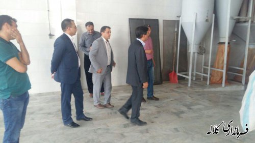 بازدید فرماندار کلاله از تولیدی آجیل دست چین گلستان