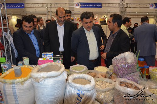 افتتاح نمایشگاه مهارت آموزی و اشتغال بمناسبت هفته دولت