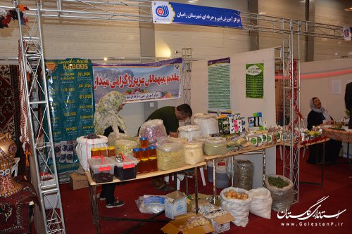 افتتاح نمایشگاه مهارت آموزی و اشتغال بمناسبت هفته دولت