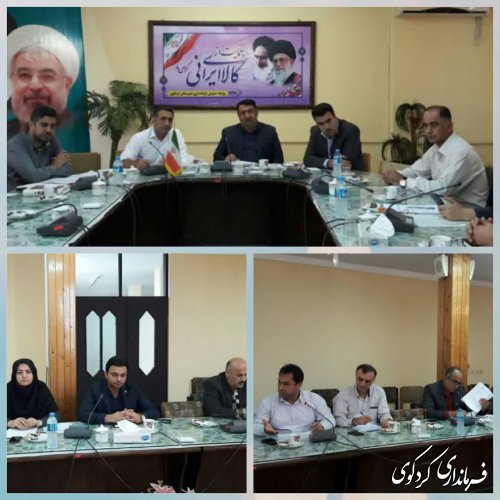 ادارات و دستگاههای اجرایی؛ تلاش کنند در مصارف روزانه اداری و خانگی خود از اجناس و کالاهایی که در داخل شهرستان تولید میشوند، استفاده نماین