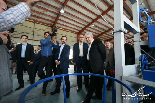 گلستان در تولید برخی داروها  از استان‌های پیشرو است