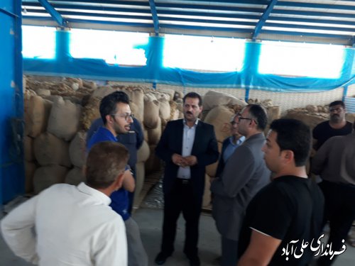 بازدید فرماندارعلی آباد کتول از محل خرید توتون