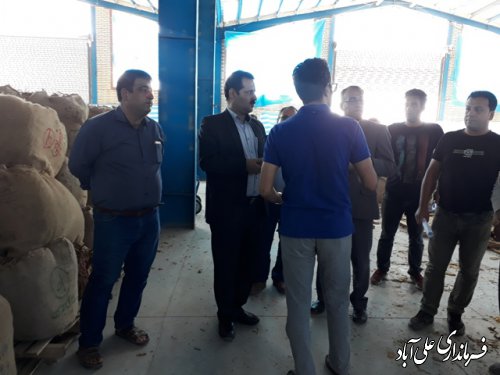 بازدید فرماندارعلی آباد کتول از محل خرید توتون