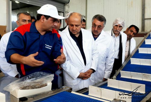 هدف ما فراهم سازی بسترهای لازم برای ارتقا تولید است