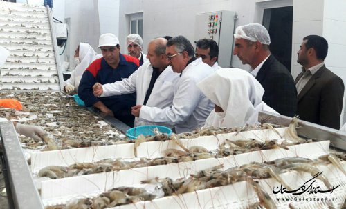 هدف ما فراهم سازی بسترهای لازم برای ارتقا تولید است