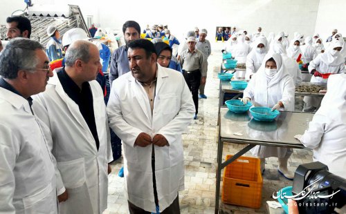هدف ما فراهم سازی بسترهای لازم برای ارتقا تولید است