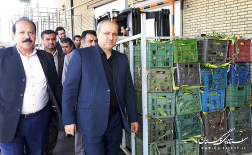 هدف ما فراهم سازی بسترهای لازم برای ارتقا تولید است
