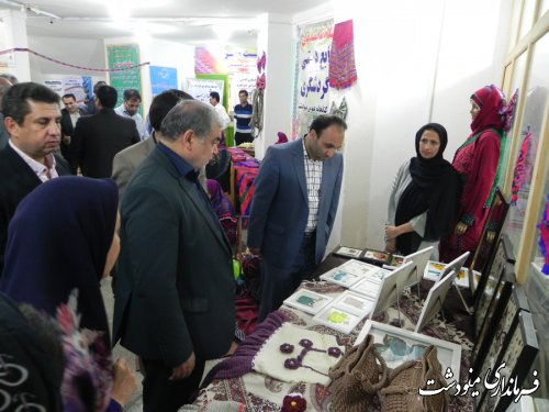 افتتاح نمایشگاه توانمندی های صنایع دستی و گردشگری شهرستان مینودشت
