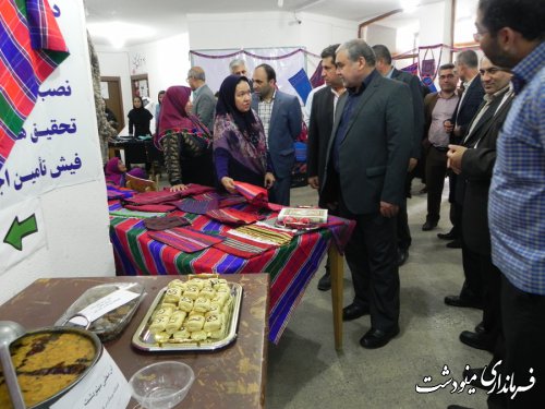 افتتاح نمایشگاه توانمندی های صنایع دستی و گردشگری شهرستان مینودشت
