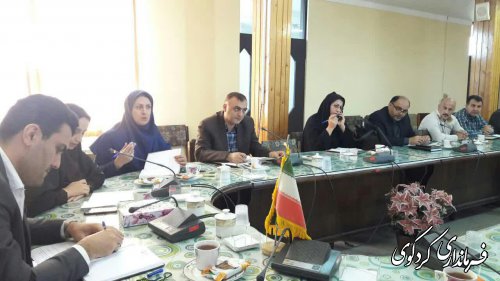 ارتقای سطح فرهنگ، جامعه را در برابر آسیبها بیمه می کند 