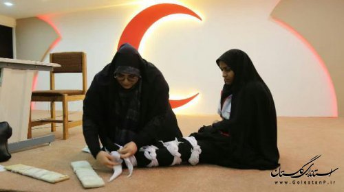 برگزاری دوره بازآموزی، یکسان سازی و هماهنگی مربیان طرح ملي دادرس گلستان