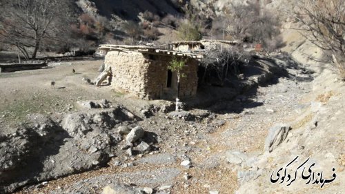 ۱۰۰ هکتار از اراضی کوهپایه ای شهرستان جنگلکاری می شود