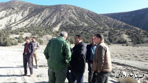 ۱۰۰ هکتار از اراضی کوهپایه ای شهرستان جنگلکاری می شود