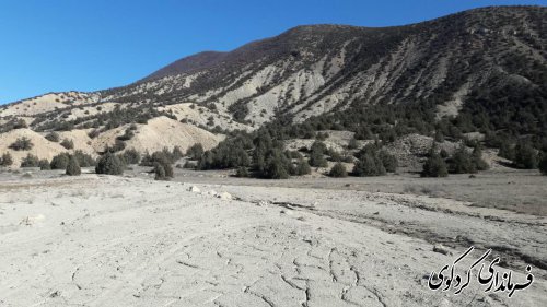 ۱۰۰ هکتار از اراضی کوهپایه ای شهرستان جنگلکاری می شود