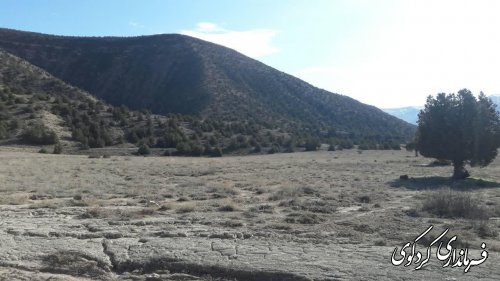 ۱۰۰ هکتار از اراضی کوهپایه ای شهرستان جنگلکاری می شود