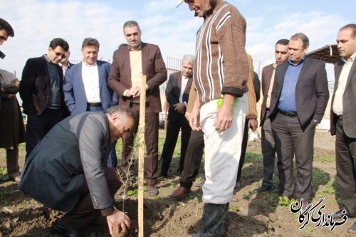 مراسم کلنگ زنی پروژه احداث اولین گلخانه سبزی و صیفی هیدروپونیک در شهرستان گرگان برگزار شد